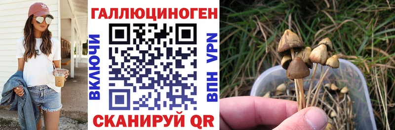 Галлюциногенные грибы мицелий  Калязин 